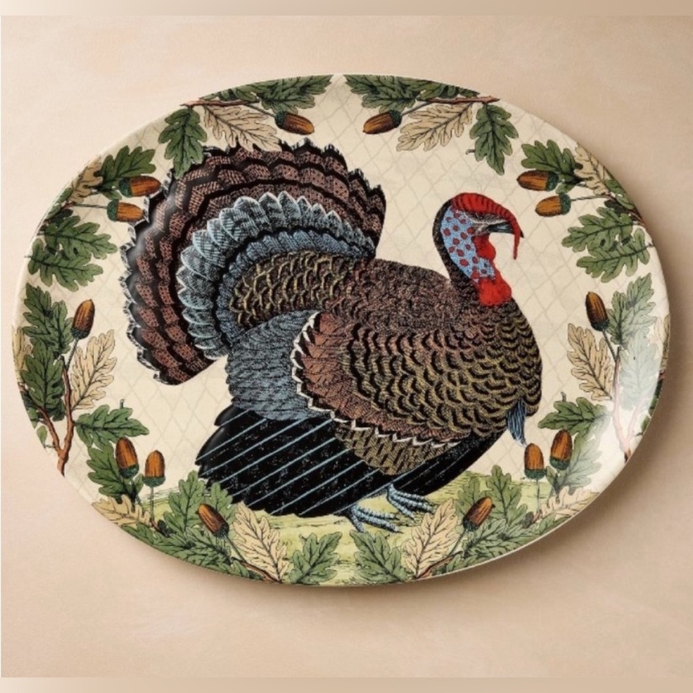 Last 2! New John Derian Thanksgiving Houlday Turkey Stoneware Serving Platter